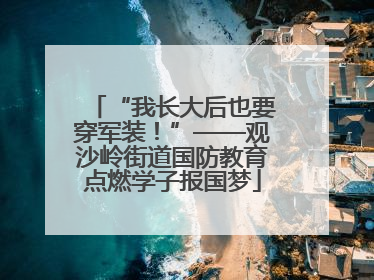 “我长大后也要穿军装！”——观沙岭街道国防教育点燃学子报国梦